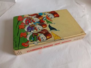 Questo è il Manuale delle Giovani Marmotte