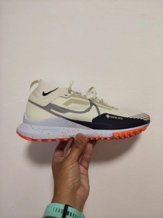 T44 Nike Pegasus Trail 4 GTX v2