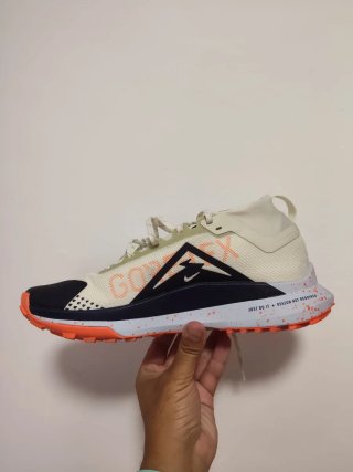 T44 Nike Pegasus Trail 4 GTX v2