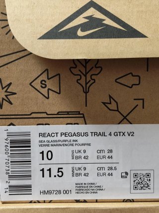 T44 Nike Pegasus Trail 4 GTX v2
