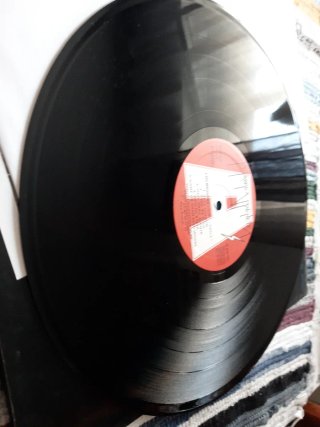 Vinilo Los Mojados