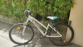 Bicicleta infantil blanca.