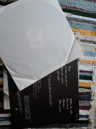 Vinilo los mojados