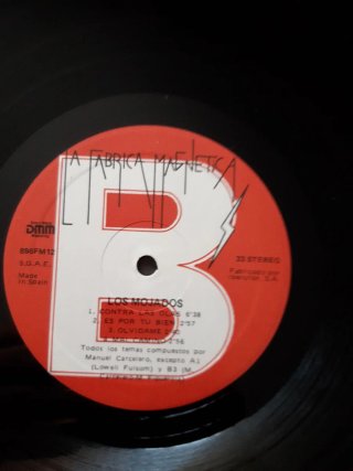 Vinilo los mojados