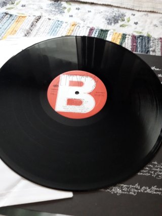 Vinilo los mojados