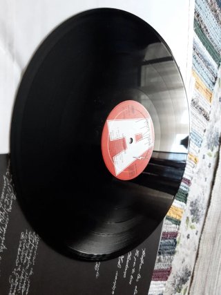 Vinilo los mojados