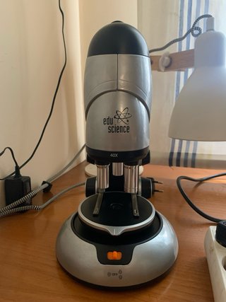 Microscopio Edu Science