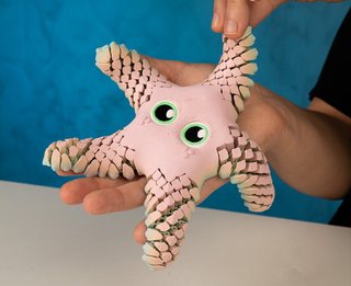 Estrella de Mar Articulada Rosa Juguete sensorial