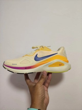 T43 Nike Structure 26 multicolor