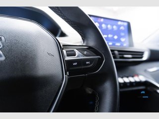 Peugeot 3008 1.5 BlueHDi 96kW (130CV) S&S Allure (2020)