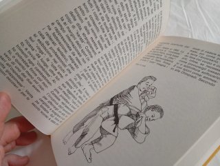 Il manuale del giovane detective