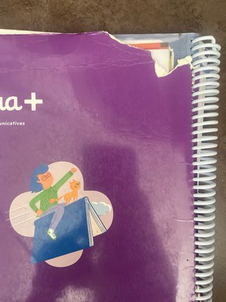 Lengua +, 4 Primaria, Tareas y destrezas comuni...