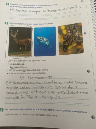 Lengua +, 4 Primaria, Tareas y destrezas comuni...