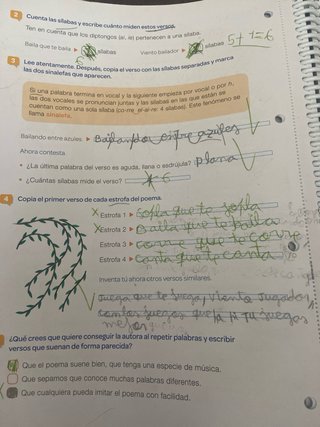 Lengua +, 4 Primaria, Tareas y destrezas comuni...