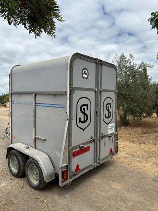 Van Fautras Provan 2 caballos