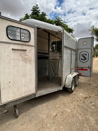 Van Fautras Provan 2 caballos