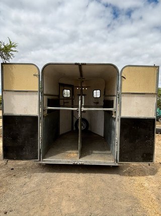 Van Fautras Provan 2 caballos