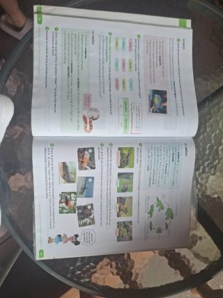 Ciencias de la Naturaleza. 4 Primaria. Revuela....