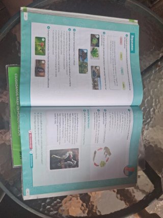 Ciencias de la Naturaleza. 4 Primaria. Revuela....
