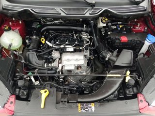 Ford Ecosport 1.0T EcoBoost 92kW (125CV) S&S ST Line