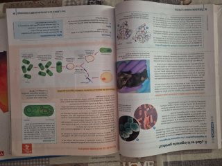 Biologia y geologia