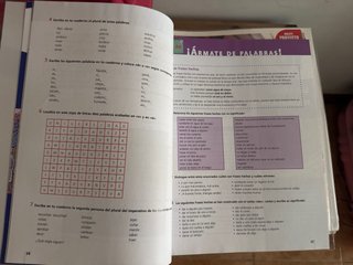 Lengua castellana y literatura Eso 2.o