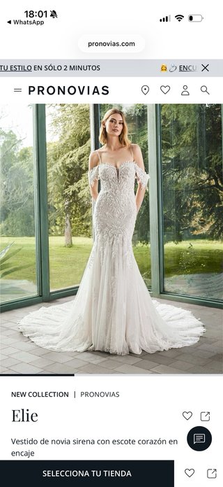 Vestido de Novia Elie Blanco pronovias