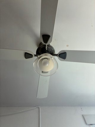Ventilador de techo con luz y mando