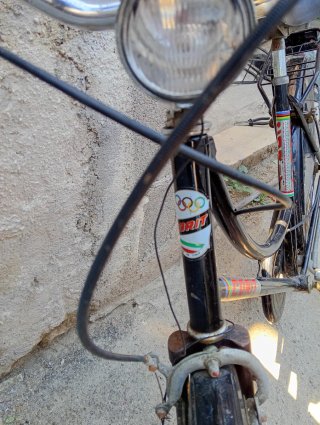 Bicicletta da donna vintage