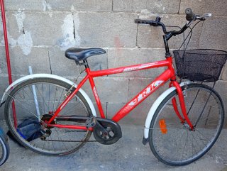 Bicicletta da donna vintage