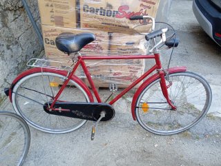 Bicicletta da donna vintage
