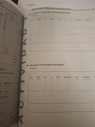 Prácticas de sintaxis: La oración simple