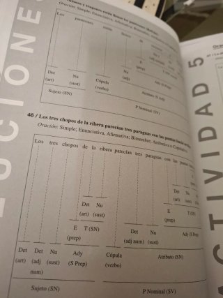 Prácticas de sintaxis: La oración simple