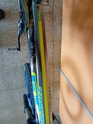 Bici btt carbono