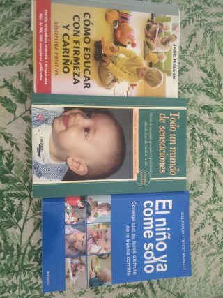 Lote 3 Libros Crianza (Jane Nelsen, Fodor, Rapley)