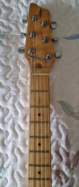 Guitarra Eléctrica Godin Radiator