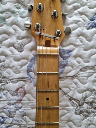 Guitarra Eléctrica Godin Radiator
