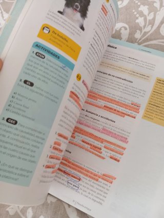 Historia de la filosofía Bachillerato 2
