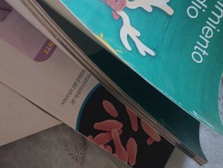 Conocimiento del Medio, 4 Primaria, Mochila lig...