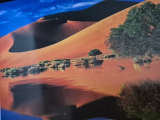 Libro 365 GESTOS PARA SALVAR AL PLANETA