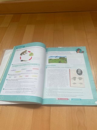 Ciencias de la Naturaleza, 6 Primaria, Castilla...