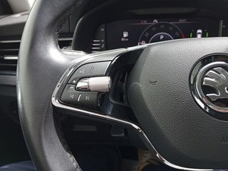 Skoda Kamiq 1.0 TSI 81kW (110CV) DSG Ambition Plus