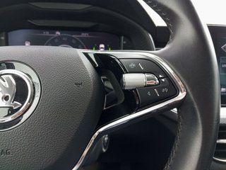 Skoda Kamiq 1.0 TSI 81kW (110CV) DSG Ambition Plus