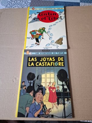 Colección 21 cómics Tintin