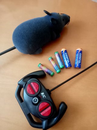 Topo radiocomandato giocattolo per mascotte