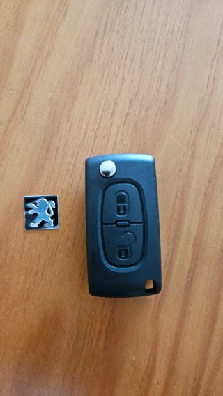 Chave 2 Botões Peugeot 107 207 307 308