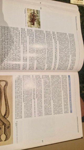Historia de la Naranja