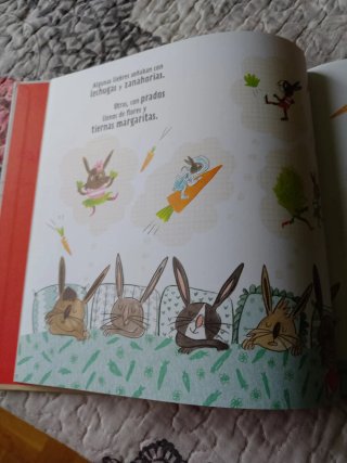 ¡Se Busca! Lili la Liebre, Ladrona de Libros