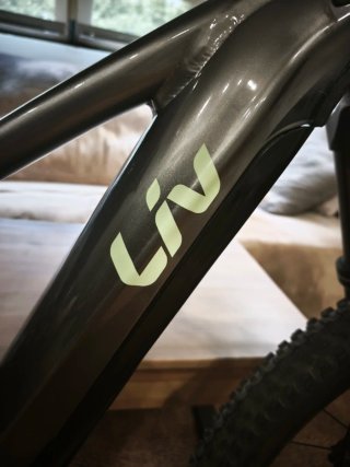 Giant Liv Embolden E+ Talla S | 413 km