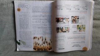 Social Science, 6 Primary, Global Action Teache...